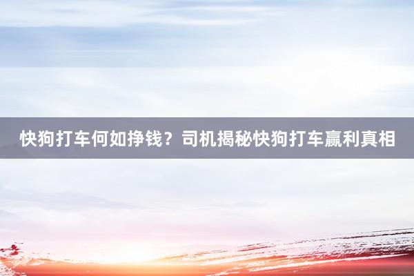 快狗打车何如挣钱？司机揭秘快狗打车赢利真相