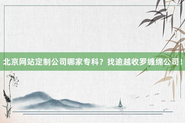 北京网站定制公司哪家专科？找逾越收罗缠绵公司！