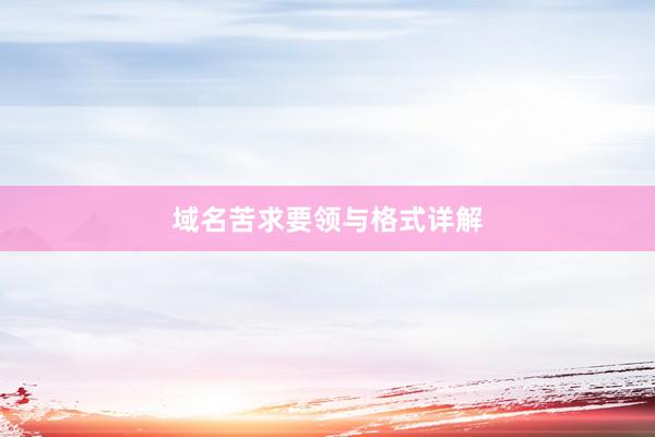 域名苦求要领与格式详解